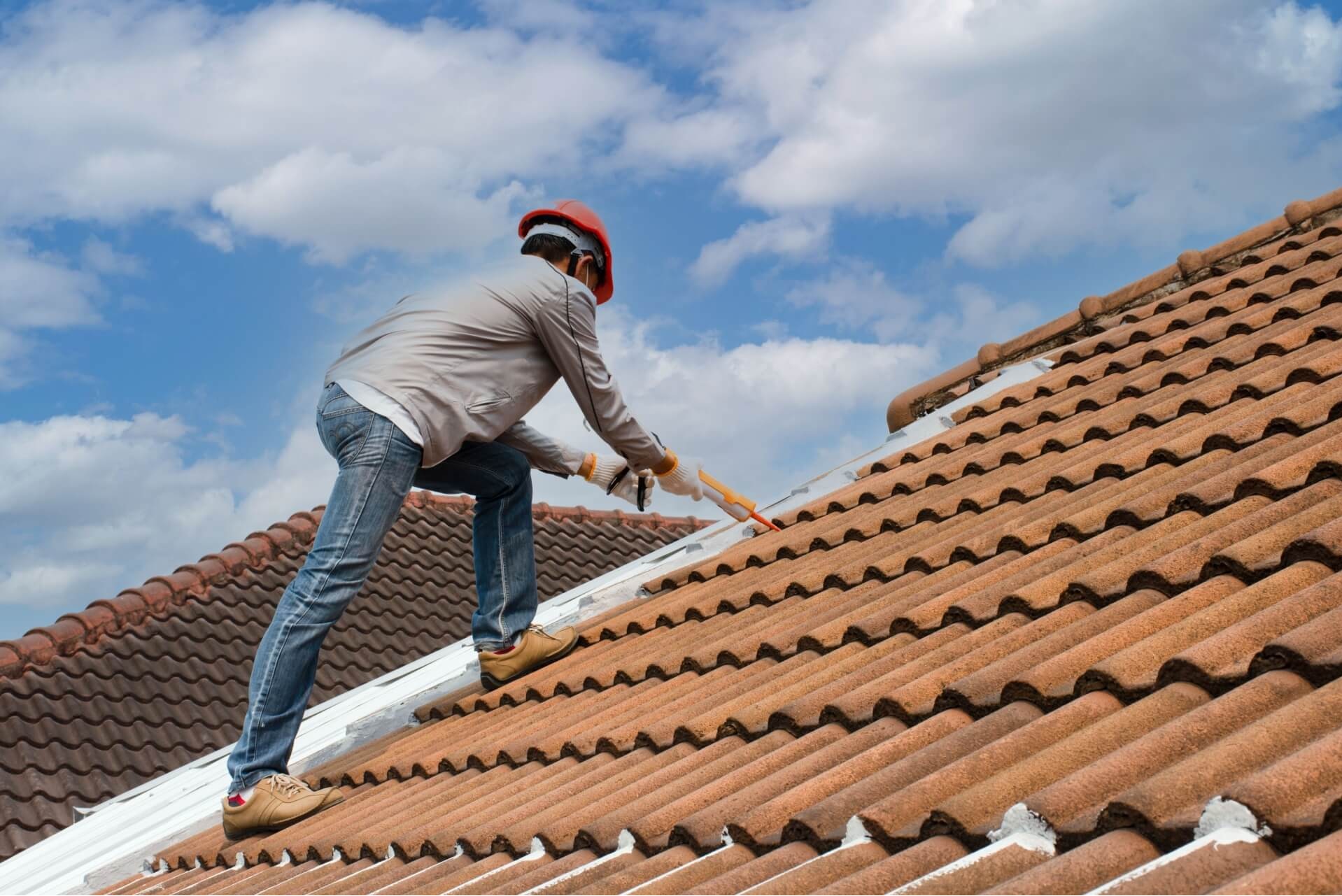 Roof Care Supports