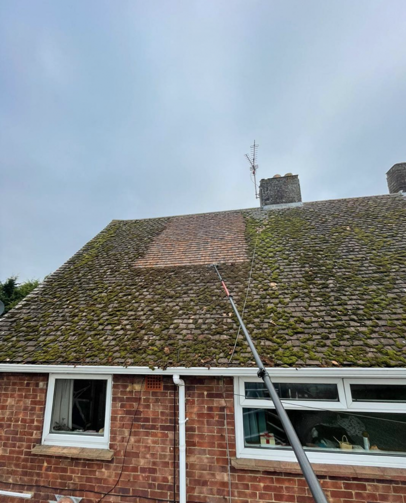 Roof Cleaning 