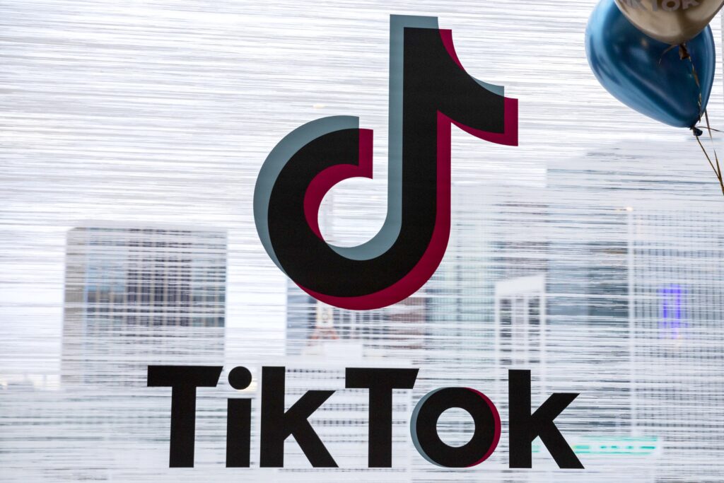 tiktok video downloader